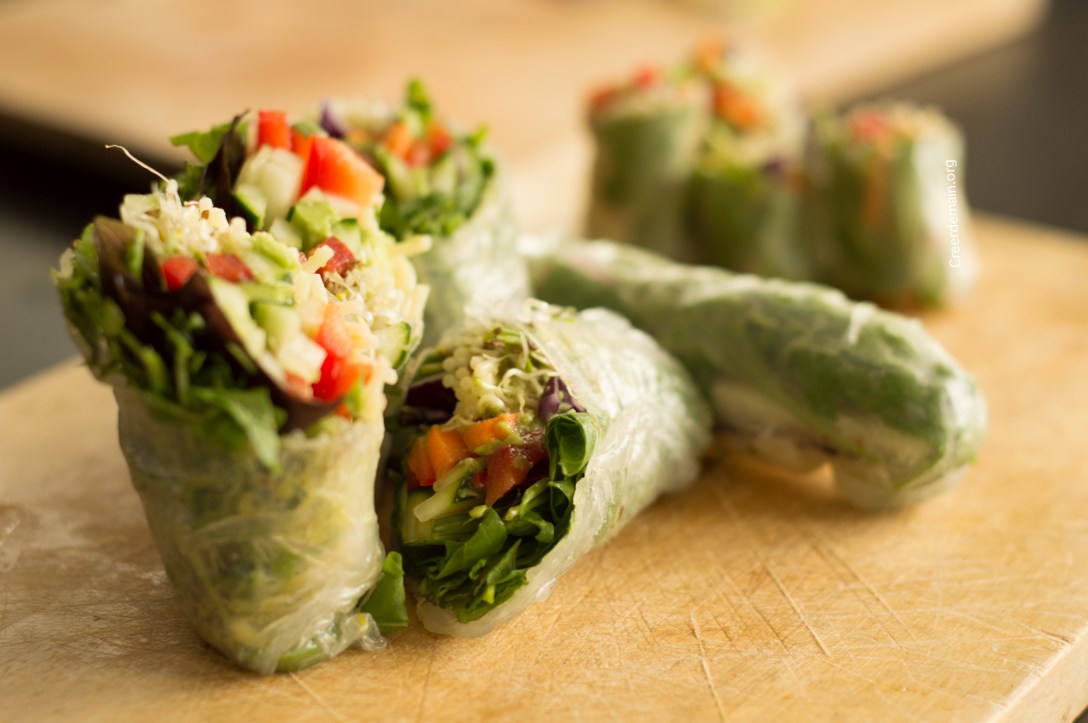 photo-rouleau-de-printemps