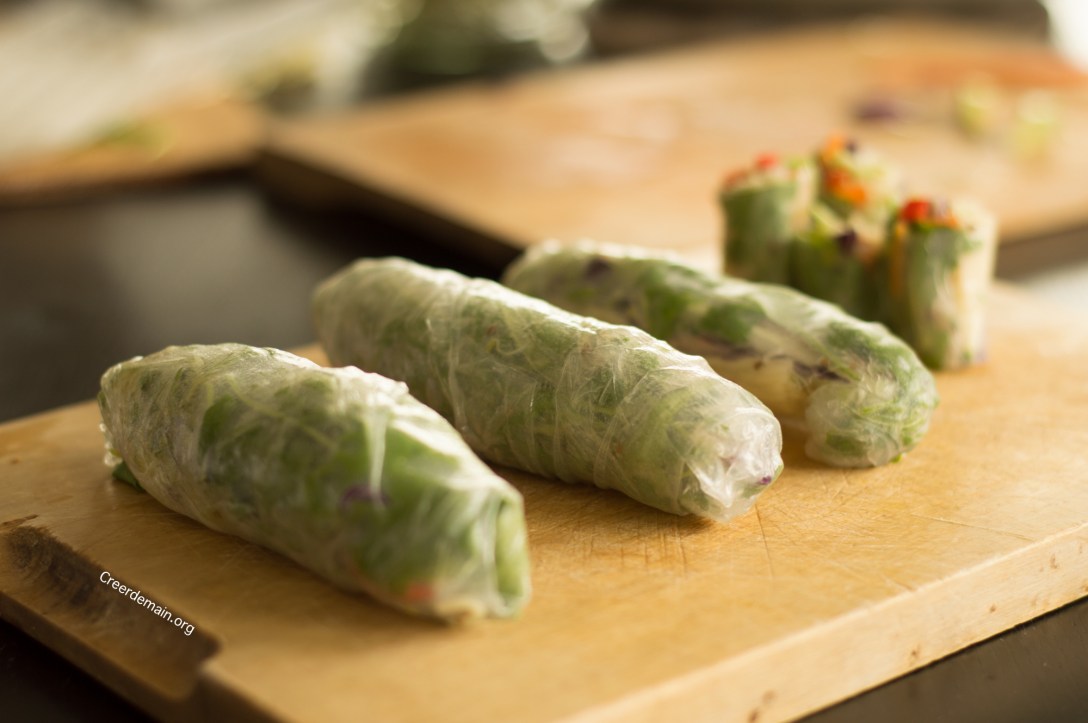 rouleau-de-printemps-facile-recette