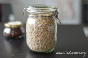 flocons cereales porridge vegan.jpg