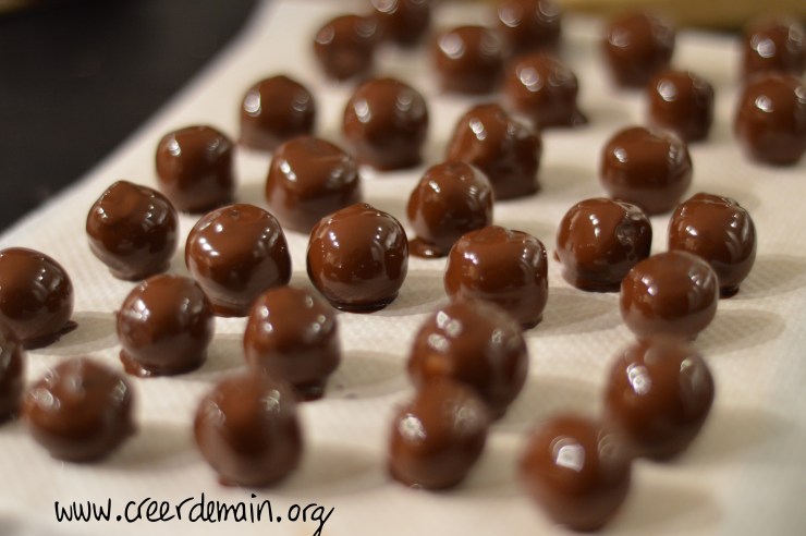 choco vegan maison.jpg