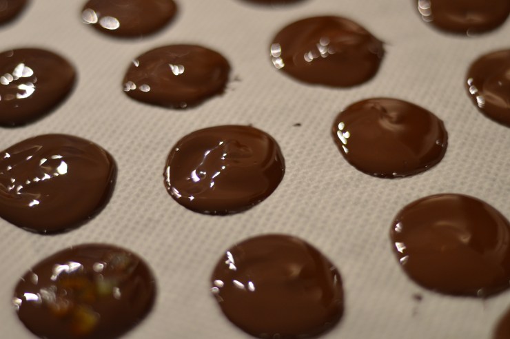 mendiants vegan maison.jpg