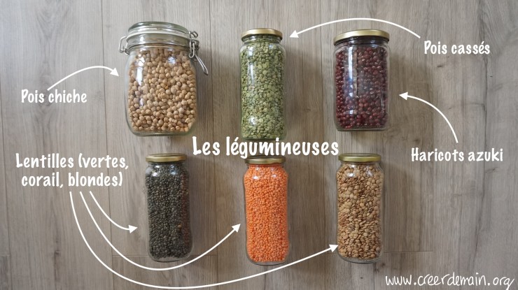 legumineuses que mangent les vegan.JPG