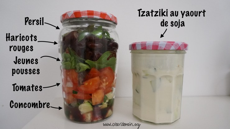 lunch box vegan.jpeg